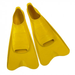 PALMES COURTES JAUNE -...